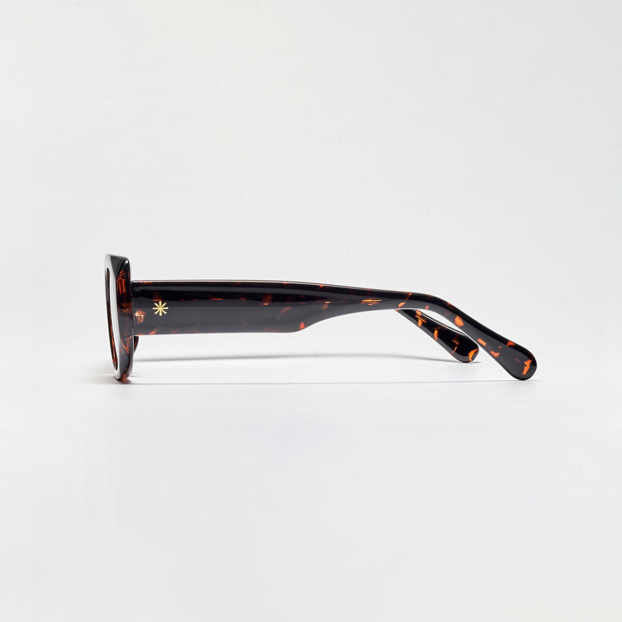 TAIPEI TORTOISE/BROWN